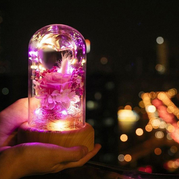 Bloom - LED Bluetooth Rose Bottle Lamp