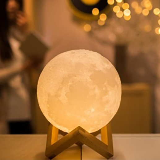 Bloom - Moon Lamp