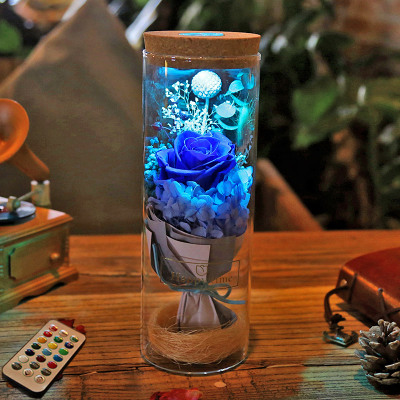 Bloom - LED Rose Bottle Lamp